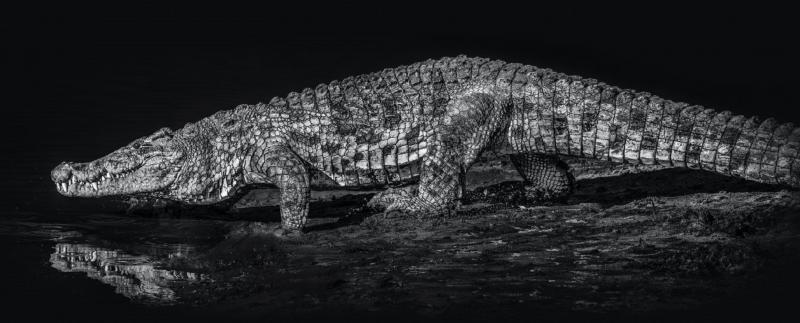 David Yarrow 10 000 BC