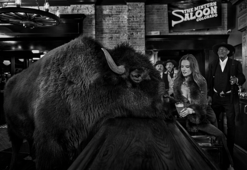 David Yarrow A Bison Walks Into A Bar