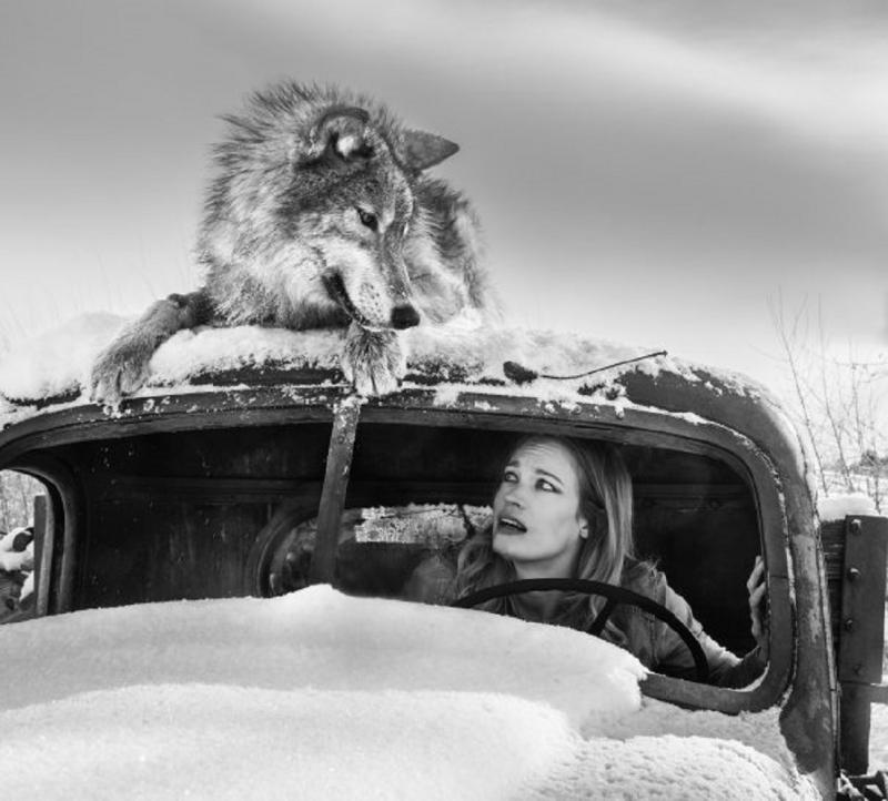 David Yarrow A Streetcar Named Desire I