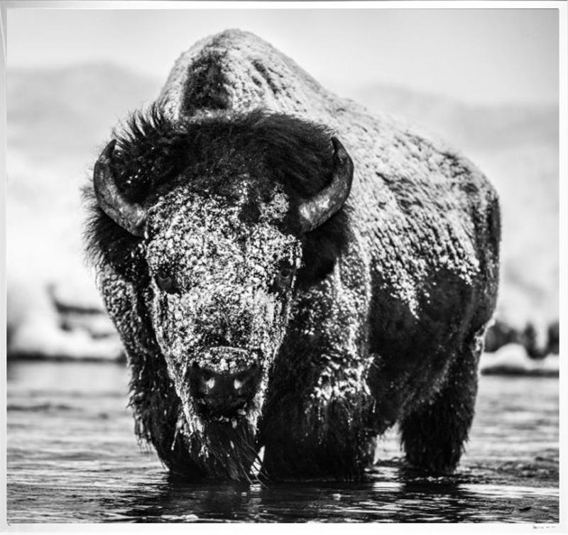 David Yarrow Boogie Nights