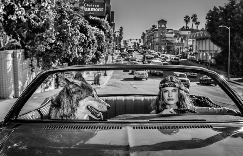 David Yarrow Chateau Marmont