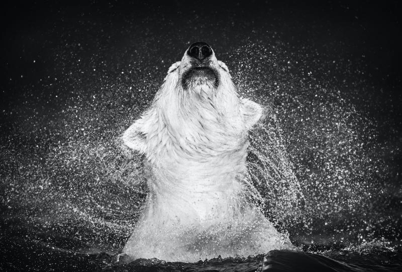 David Yarrow Diamonds in the Sky 