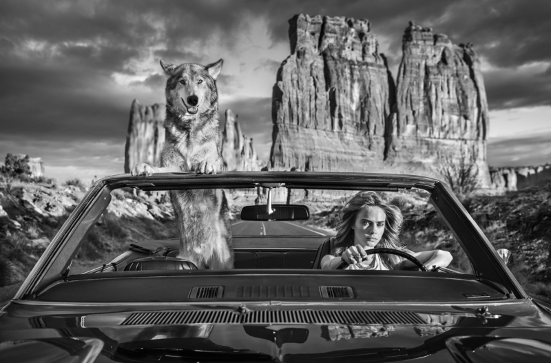 David Yarrow Drive 2021