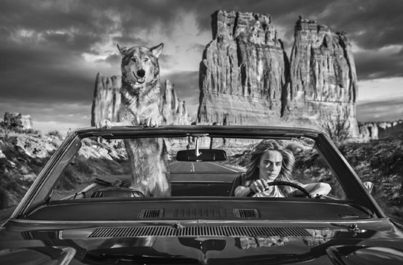 David Yarrow Drive