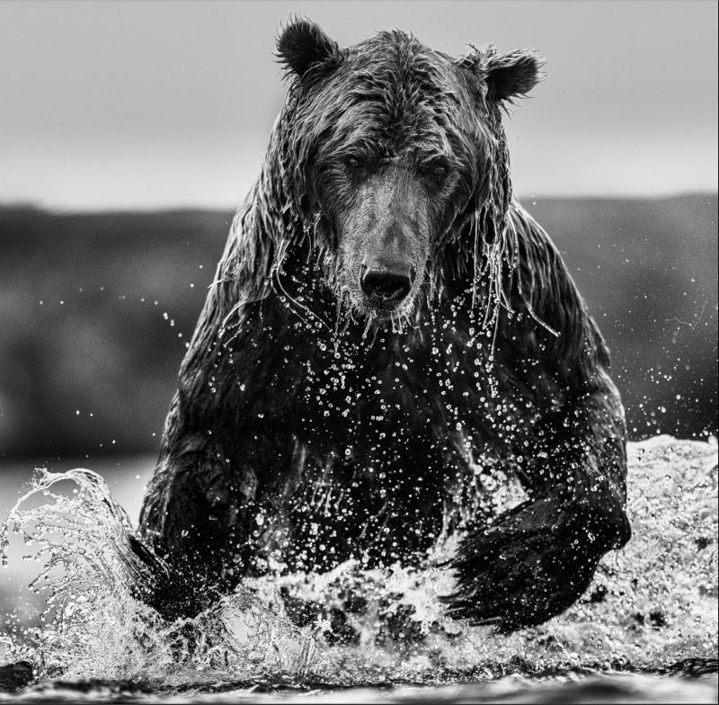 David Yarrow Gone Fishing