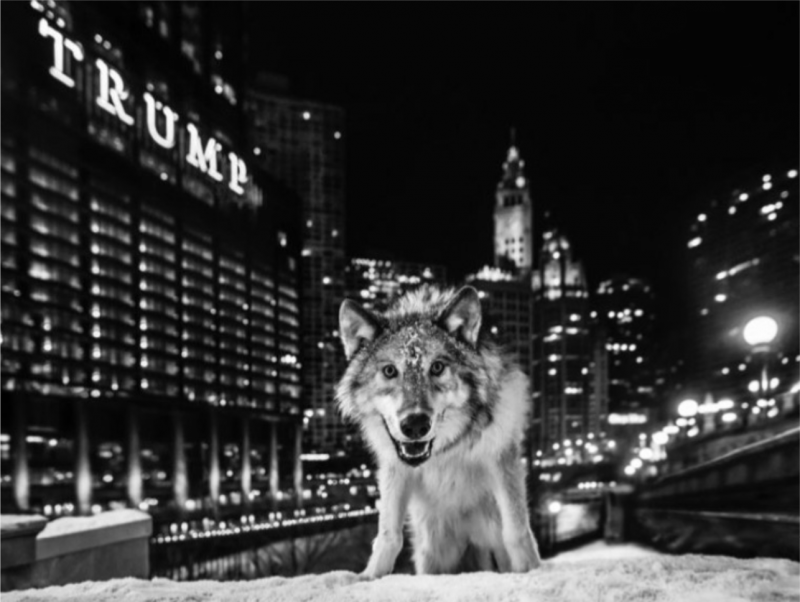 David Yarrow It Is Only A Matter Of Time 2017