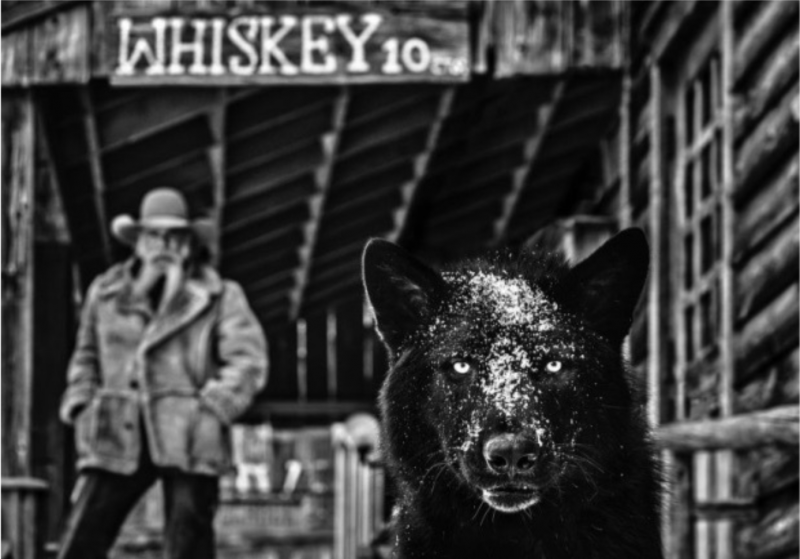 David Yarrow It Was The Whiskey Talking 2022