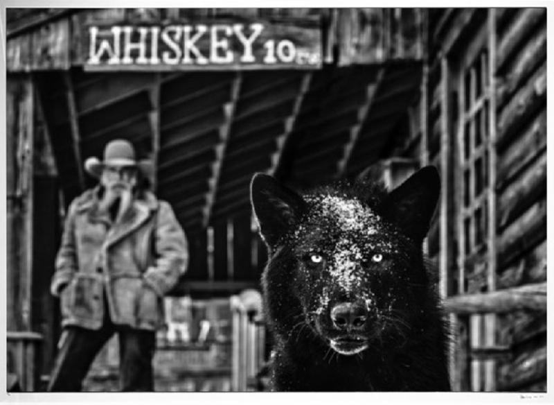 David Yarrow It Was The Whiskey Talking