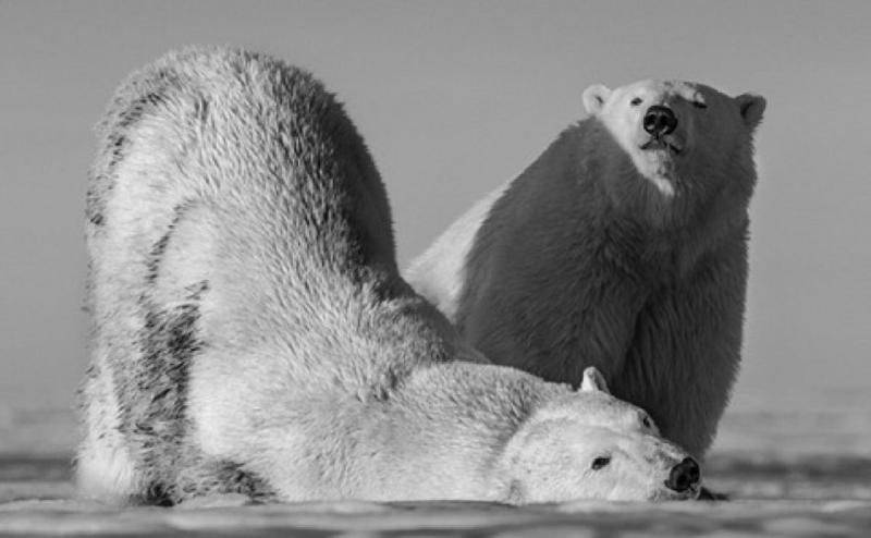 David Yarrow Monday Morning