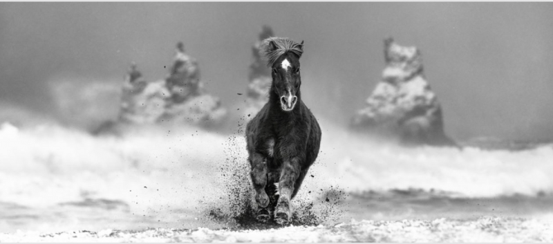 David Yarrow My Perfect Storm