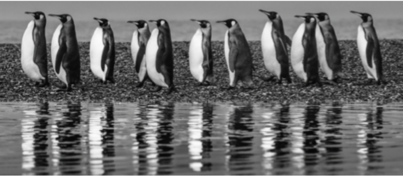 David Yarrow Oceans Eleven 2022
