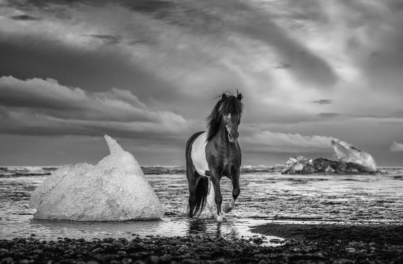 David Yarrow On The Rocks
