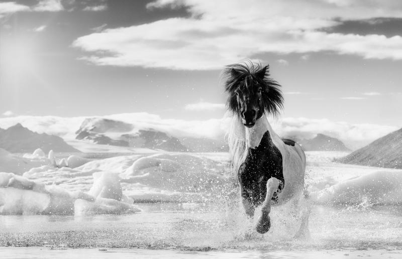 David Yarrow Punk