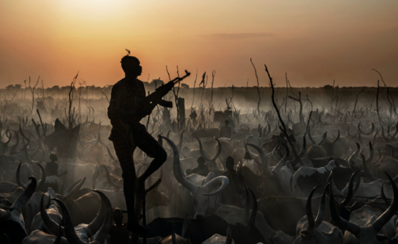David Yarrow The Colour Of Money 2015