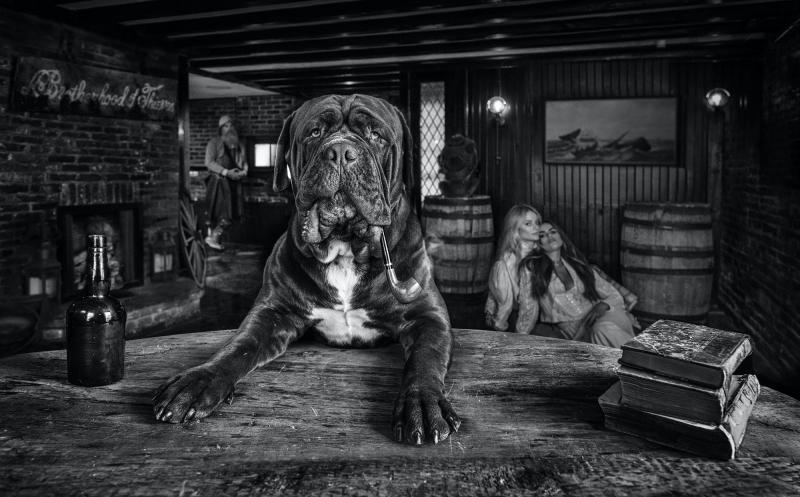 David Yarrow The Dog Father