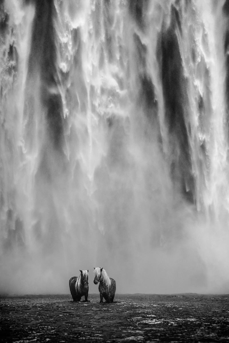 David Yarrow The Dream