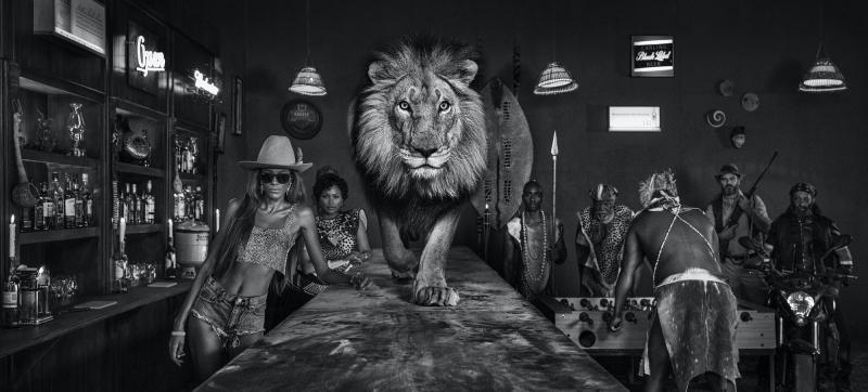 David Yarrow The Lions Den