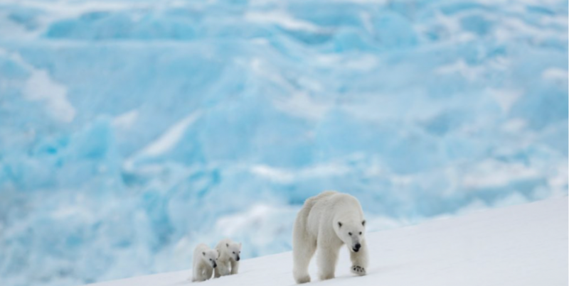 David Yarrow The New Kids On The Block 2022