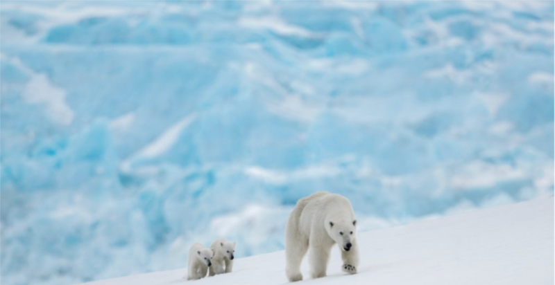 David Yarrow The New Kids On The Block 2022