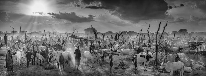 David Yarrow The New Testament B W