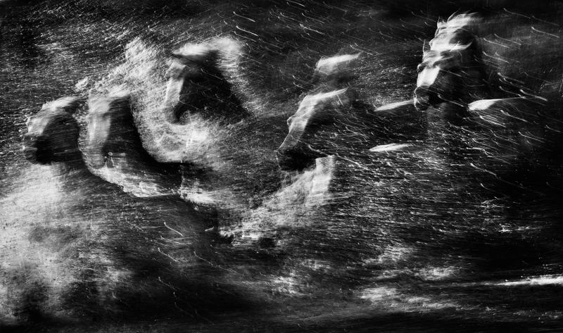 David Yarrow White Rush