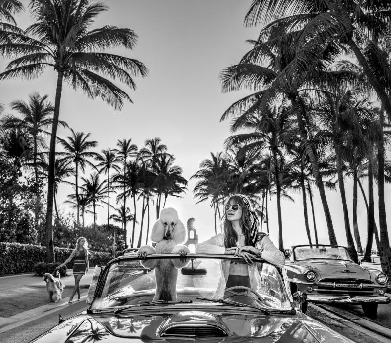 David Yarrow Worth Avenue 12 