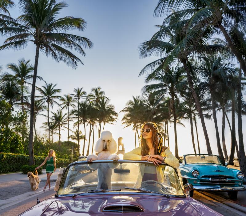 David Yarrow Worth Avenue Colour 12 