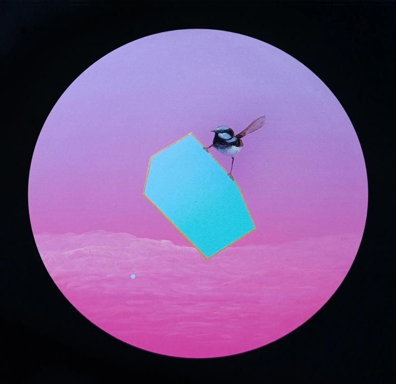 Dean Reilly Illusion of Lightness The Superb Fairy Wren