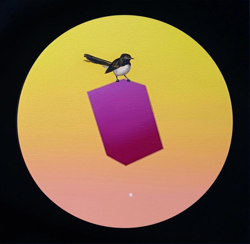 Dean Reilly Illusion of Lightness Willy Wag Tail