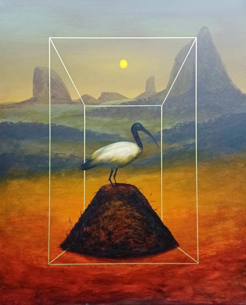 Dean Reilly The Ibis and The Glass House