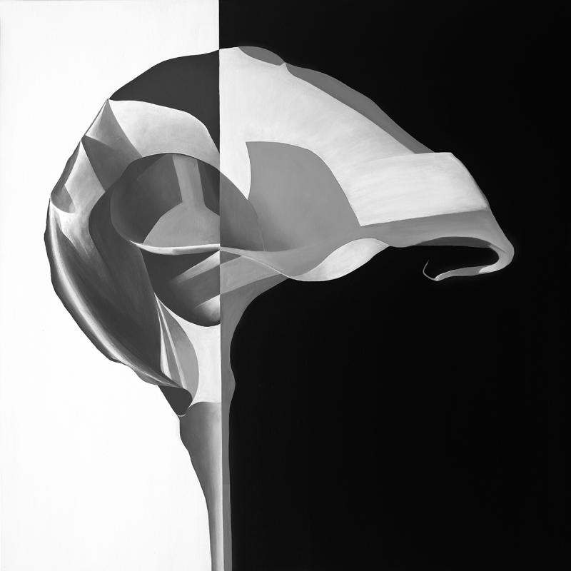 Deborah Bigeleisen Duality 1