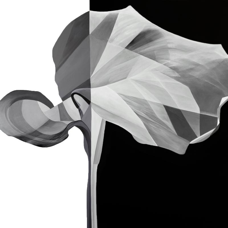Deborah Bigeleisen Duality 3