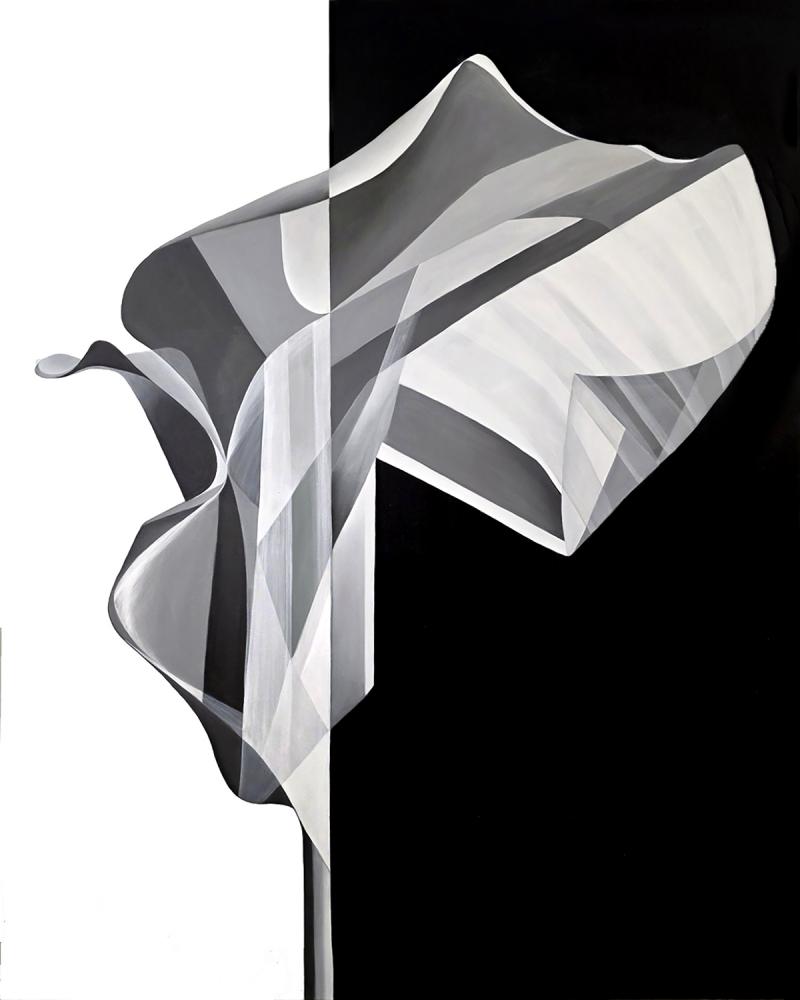 Deborah Bigeleisen Duality 5