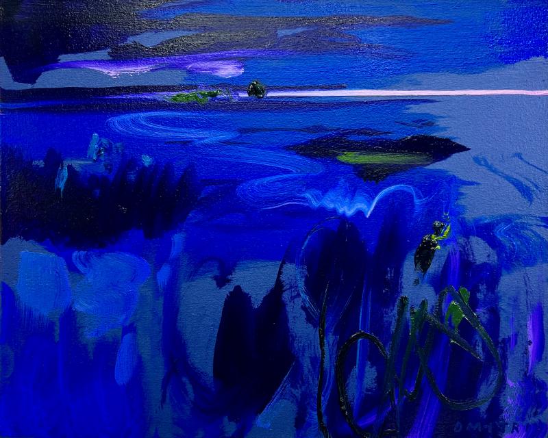 Dmitri Wright Maine Nocturne Opus VIII