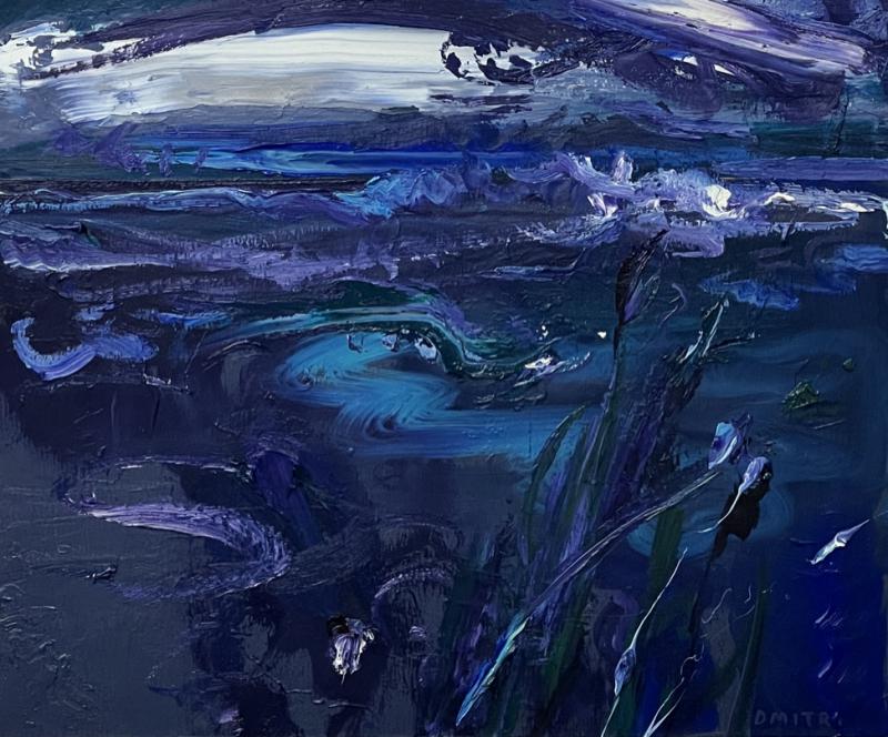 Dmitri Wright Maine Nocturne Opus XXIII