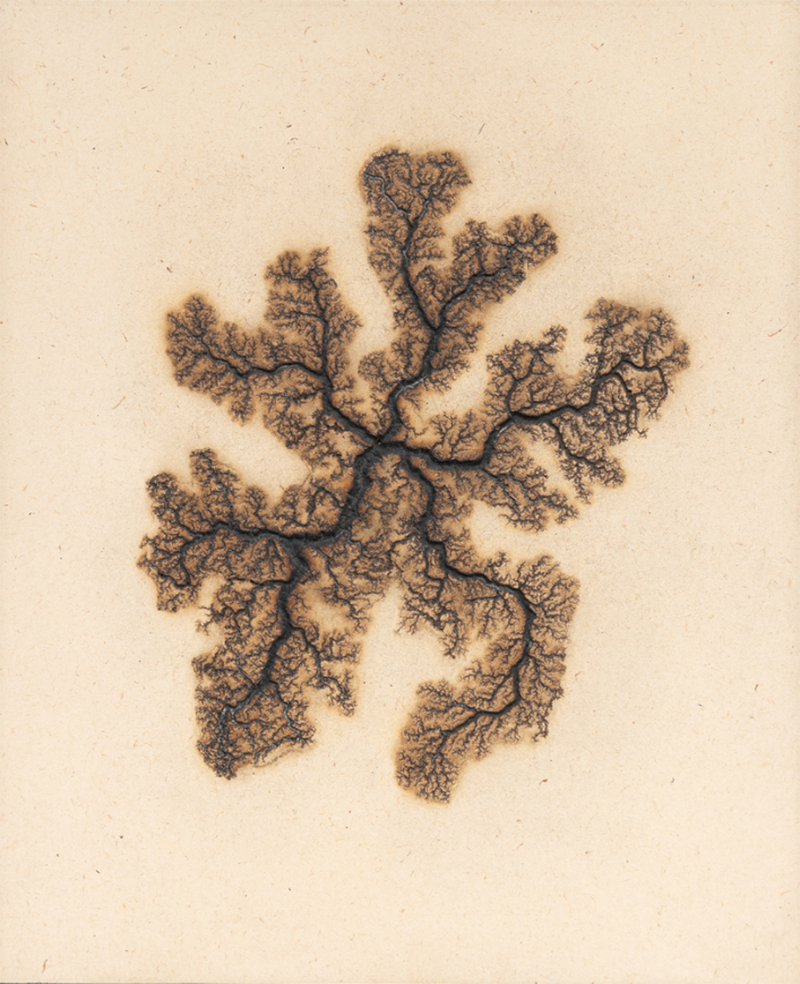 Douglas White Lichtenberg Drawing 14 2026