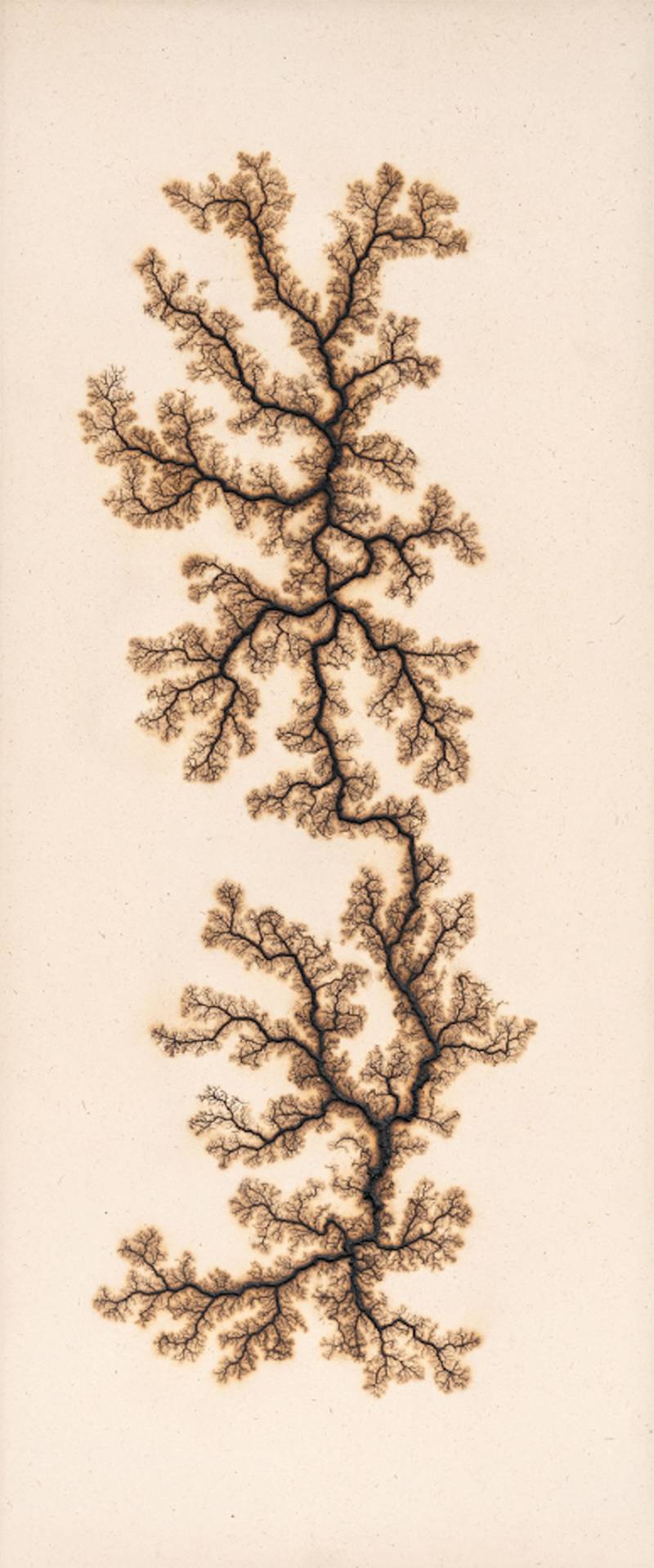 Douglas White Lichtenberg Drawing 6 2026