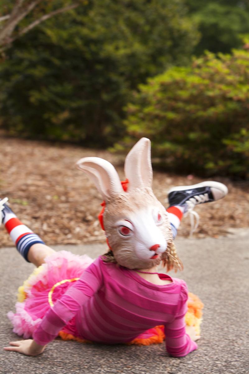 Down the Rabbit Hole