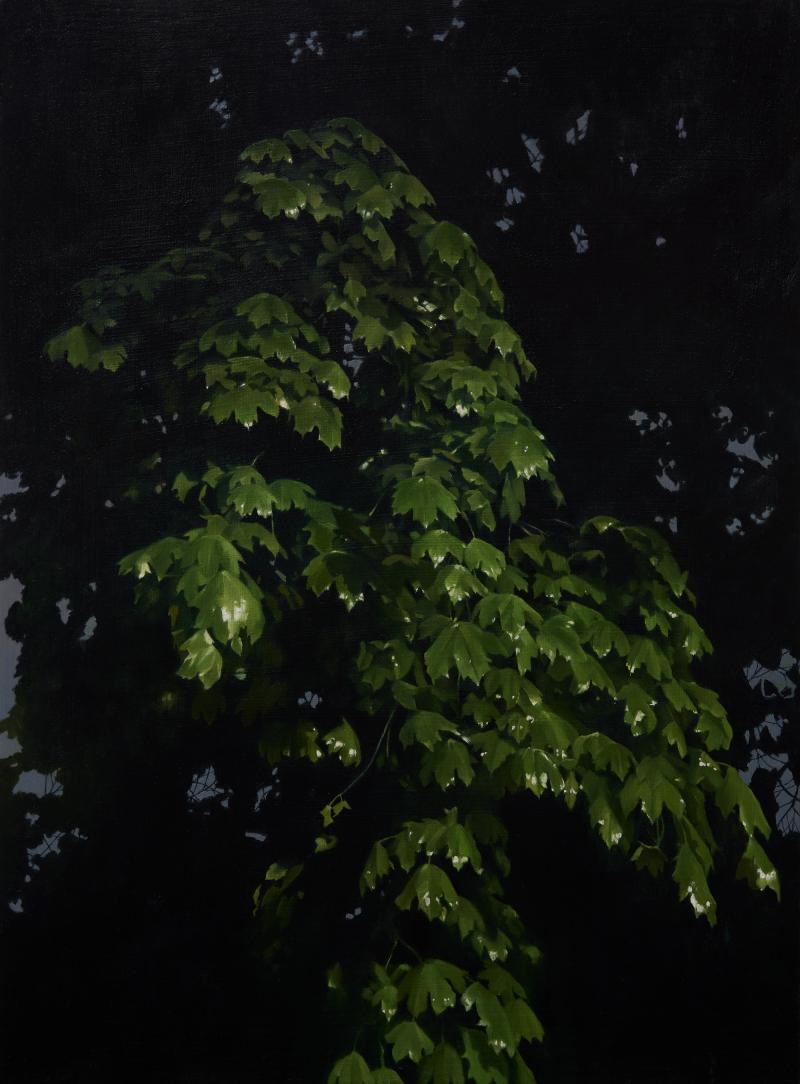 ELIZABETH LIVINGSTON May Thunderstorm