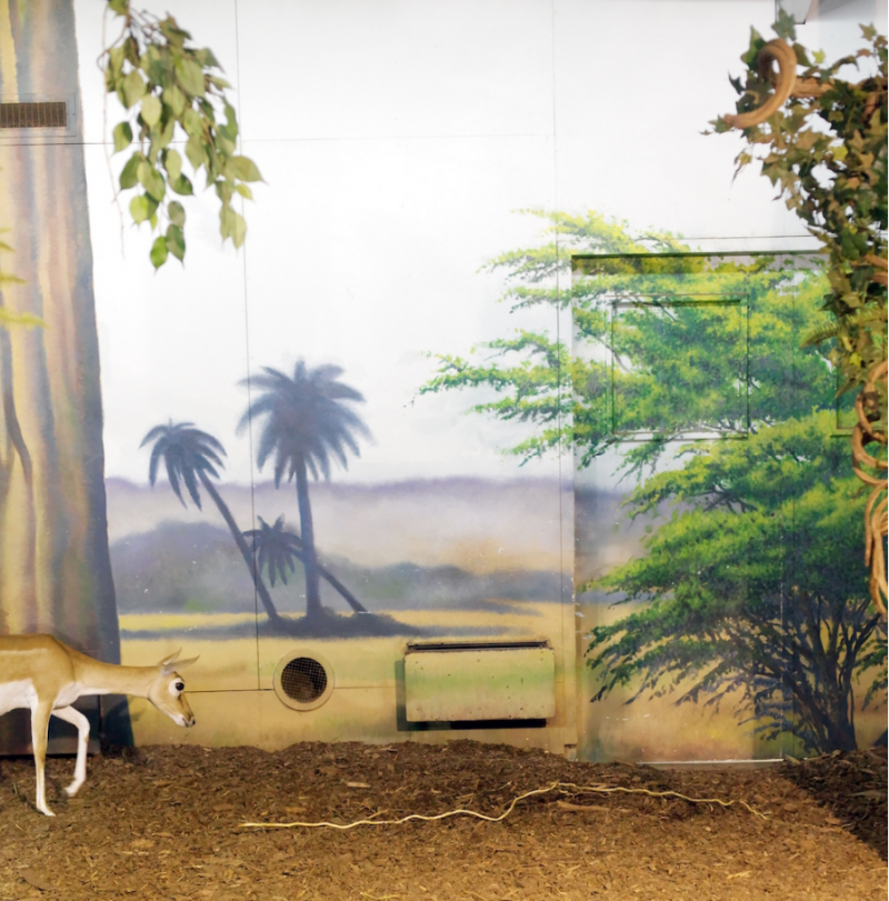 ERIC PILLOT Antilope and Painted Decor 2011