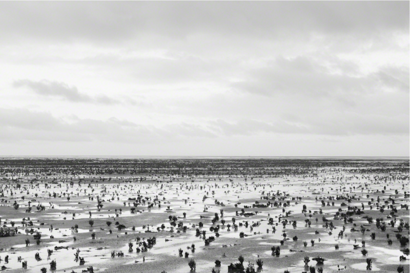 ERIC PILLOT Horizons 9161 2015