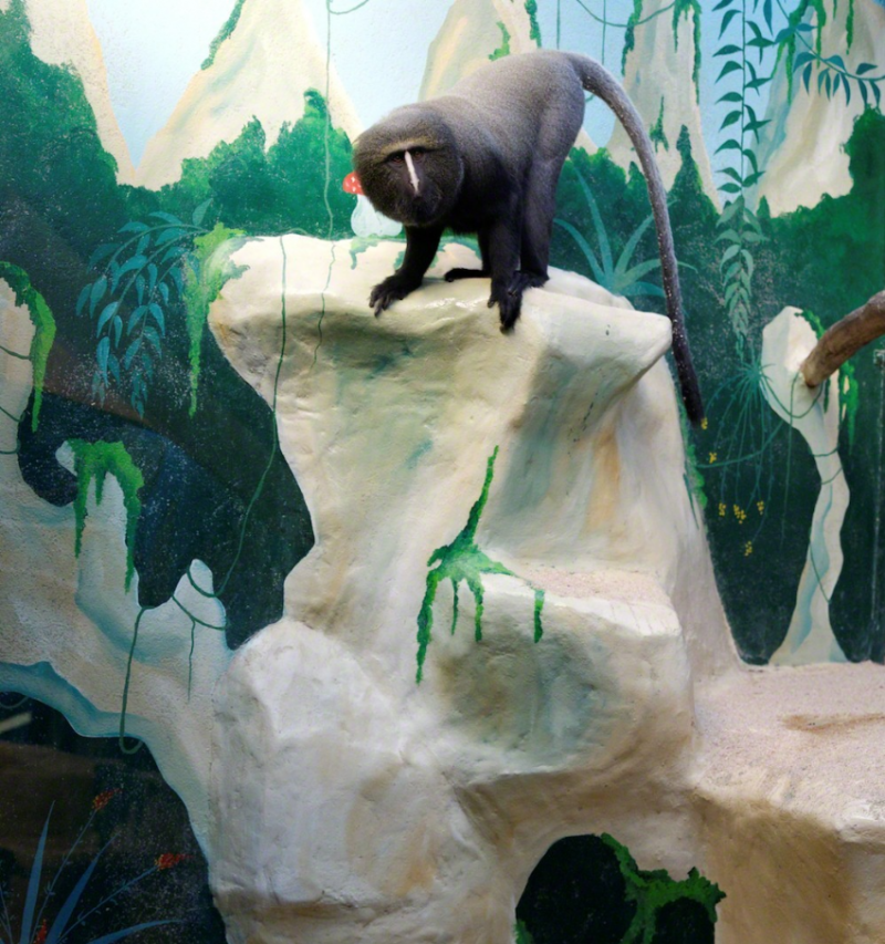 ERIC PILLOT Perched Monkey 2012