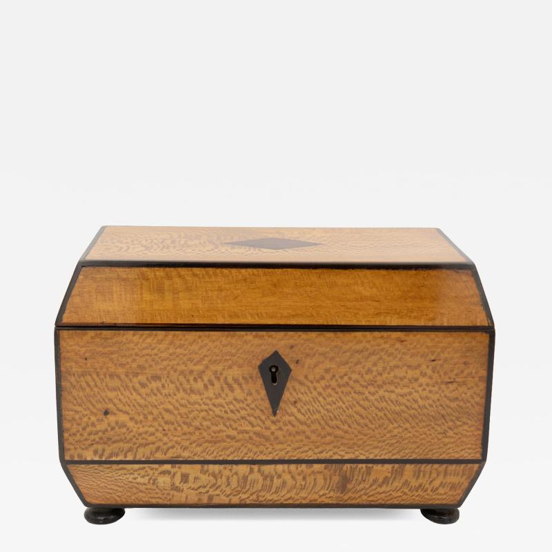 Early 19th Century Solid Lacewood Box with Campaign Handles