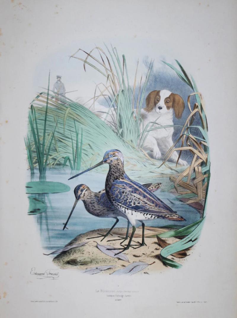 Edouard Travies EDOUARD TRAVIES 1809 1865 LA GRIVE PL 36