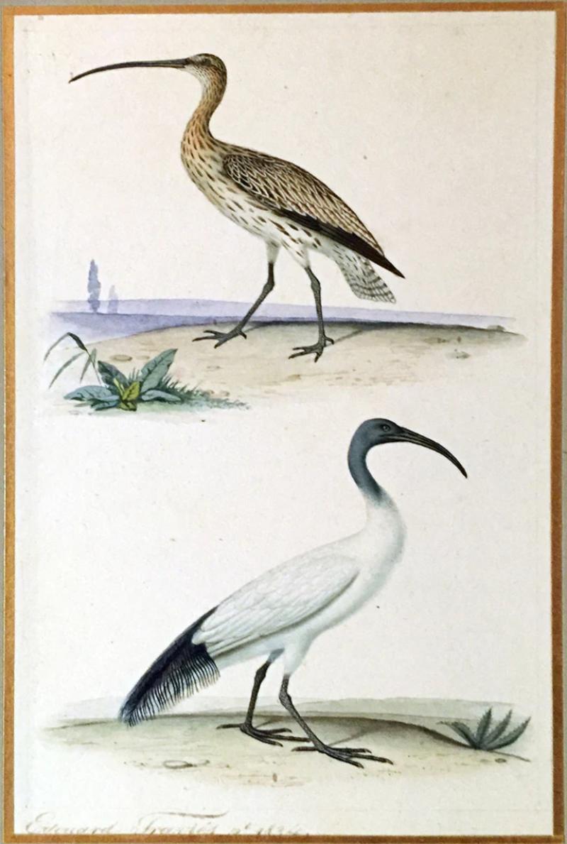 Edouard Travies EDOUARD TRAVIES FRENCH 1809 1870 WREN NIGHTINGALE AND GOLDCREST