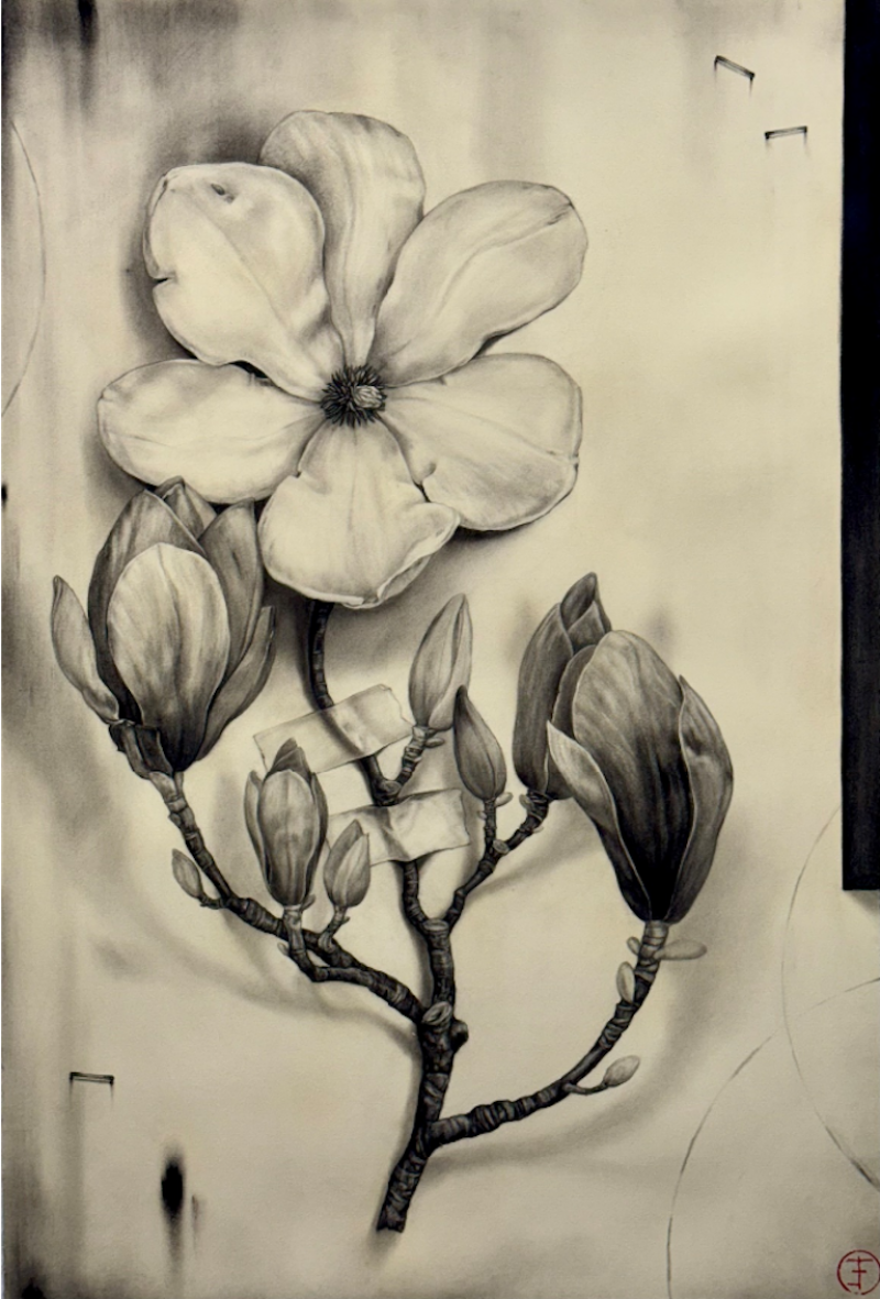 Emily Farish Chinese Magnolia No 289 2025
