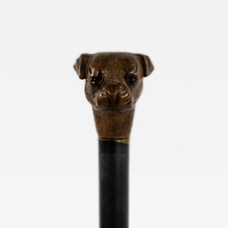 English Victorian Bull Dog Cane