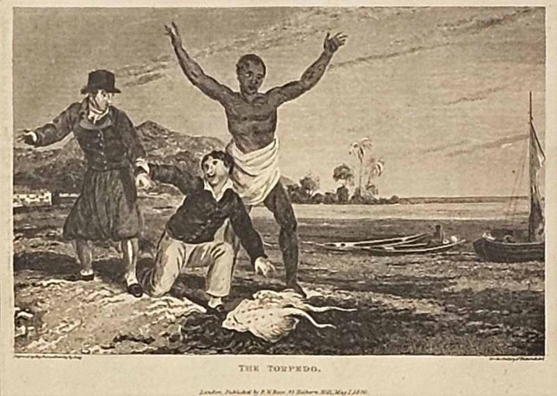 Engraving The Torpedo England circa 1820