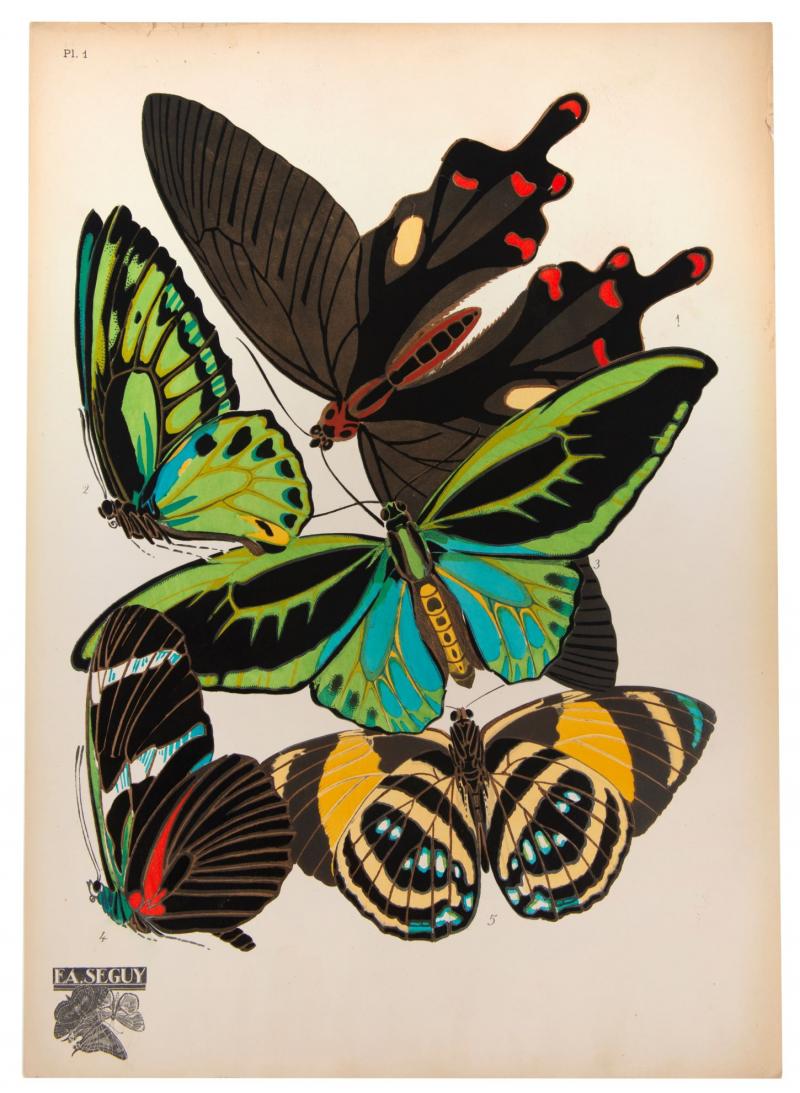 Eugene Alain Seguy Papillons