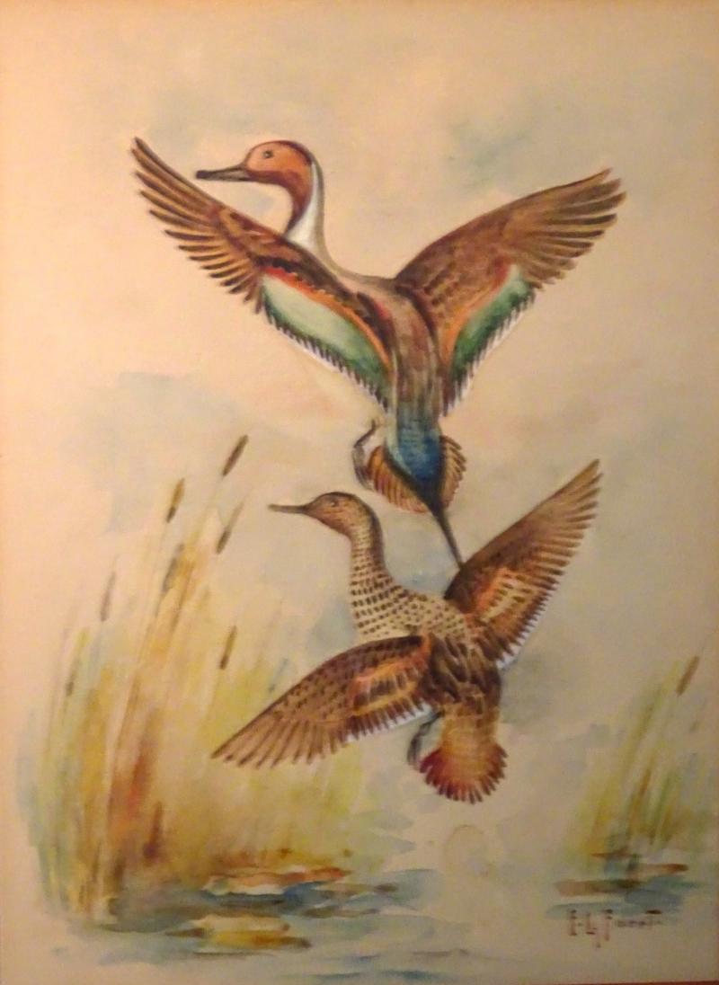 Eugene LaForet Northern Pintails Rising by Eugene LaForet Watercolor New York City 1945